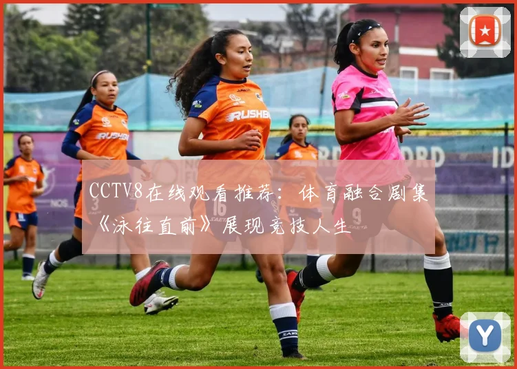 CCTV8在线观看推荐：体育融合剧集《泳往直前》展现竞技人生