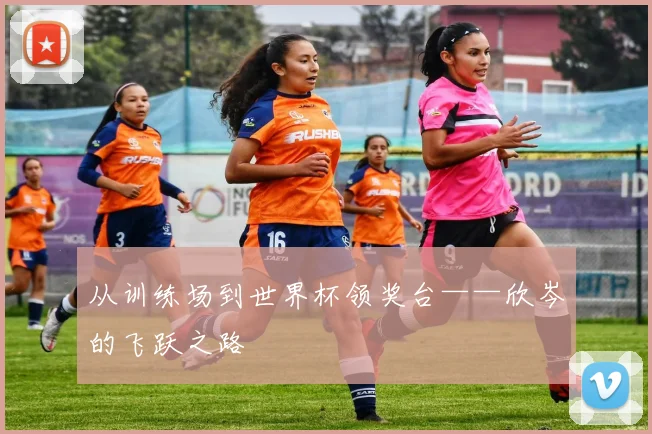 从训练场到世界杯领奖台——欣岑的飞跃之路