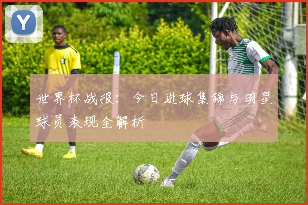 世界杯战报:今日进球集锦与明星球员表现全解析