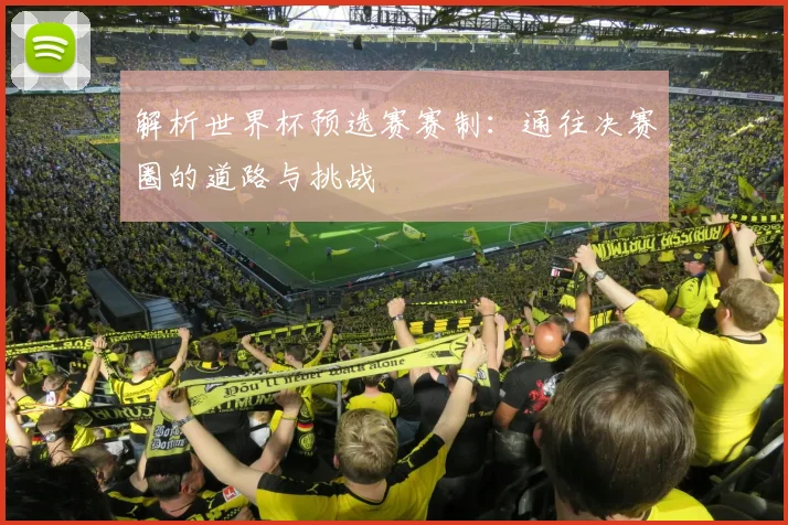 解析世界杯预选赛赛制：通往决赛圈的道路与挑战