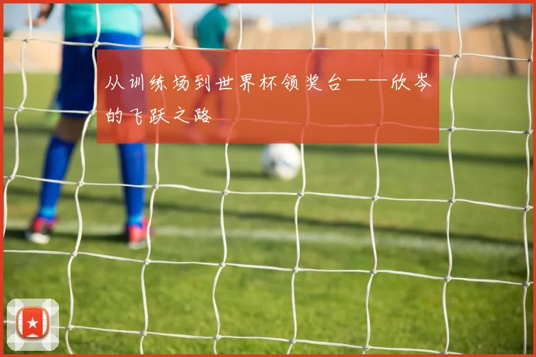 从训练场到世界杯领奖台——欣岑的飞跃之路
